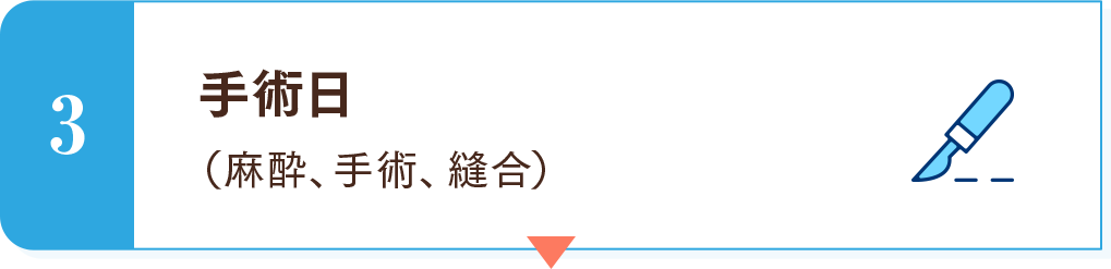 3　手術日（麻酔、手術、縫合）